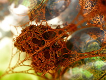 Torsten Stier's picture